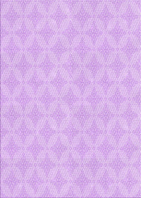 Machine Washable Transitional Purple Rug, wshpat2377pur