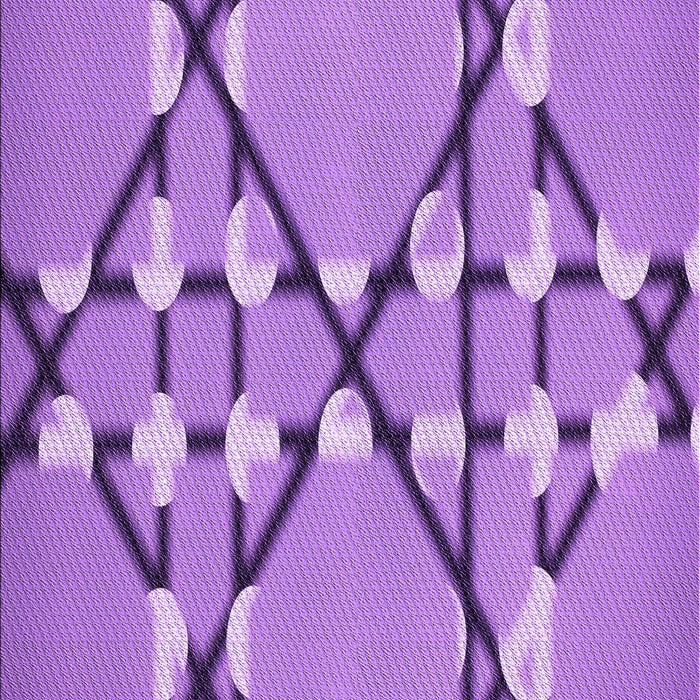 Machine Washable Transitional Violet Purple Rug, wshpat2379pur