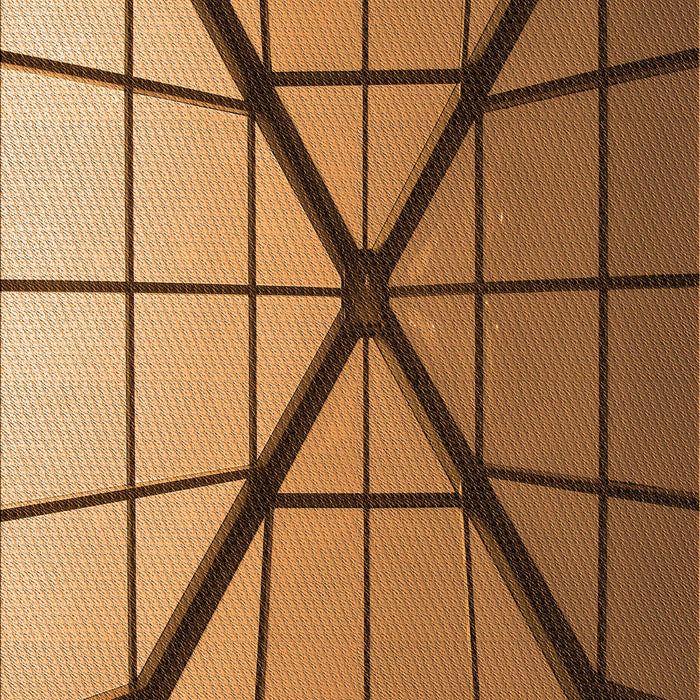 Patterned Saddle Brown Rug, pat238org