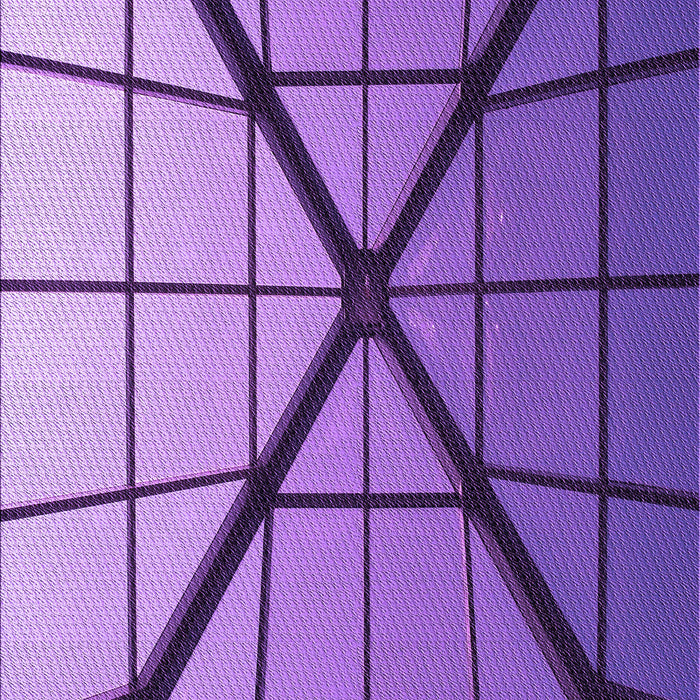 Machine Washable Transitional Amethyst Purple Rug, wshpat238pur