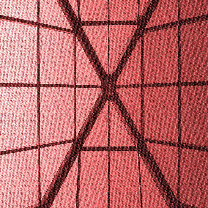 Patterned Red Rug, pat238rd