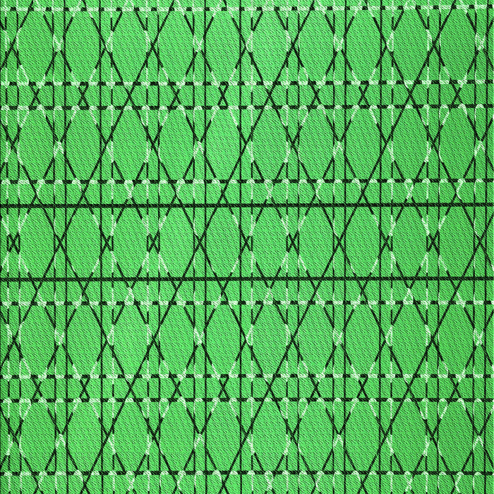 Machine Washable Transitional Neon Green Rug, wshpat2383grn