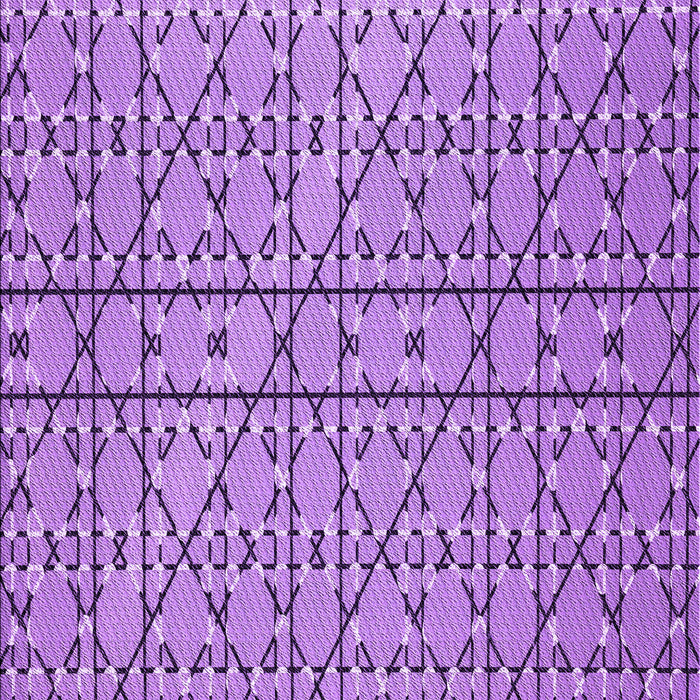 Machine Washable Transitional Violet Purple Rug, wshpat2383pur