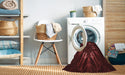 Machine Washable Transitional Fire Brick Red Rug in a Washing Machine, wshpat2384rd