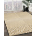 Machine Washable Transitional Vanilla Gold Rug in a Family Room, wshpat2389brn