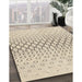 Machine Washable Transitional Moccasin Beige Rug in a Family Room, wshpat2391brn