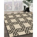 Machine Washable Transitional Vanilla Gold Rug in a Family Room, wshpat2394brn