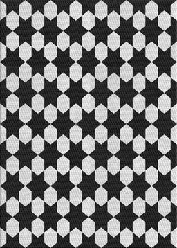 Patterned Light Gray Novelty Rug, pat2395