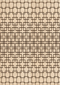 Machine Washable Transitional Sienna Brown Rug, wshpat2399org