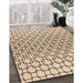 Patterned Sienna Brown Rug in Family Room, pat2399org