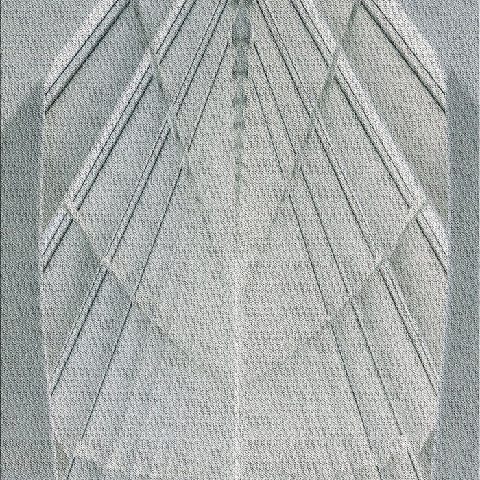 Machine Washable Transitional Light Gray Rug, wshpat239