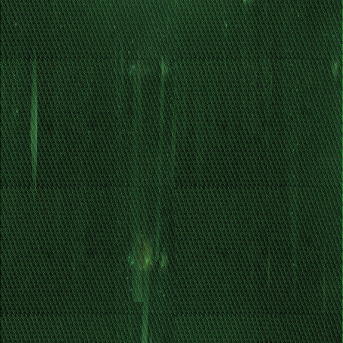 Machine Washable Transitional Deep Emerald Green Rug, wshpat24grn