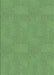 Patterned Green Rug, pat2407grn