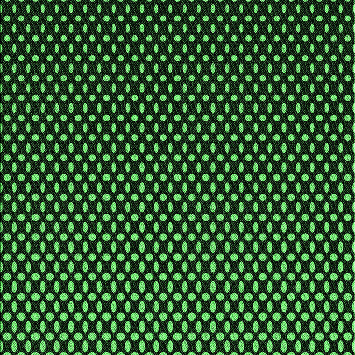 Machine Washable Transitional Black Rug, wshpat2408grn