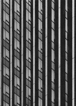 Machine Washable Transitional Black Rug, wshpat240