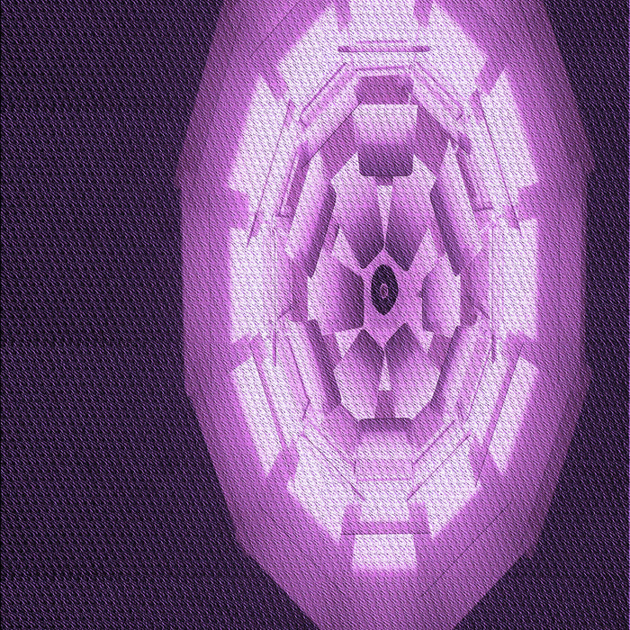 Machine Washable Transitional Purple Rug, wshpat241pur