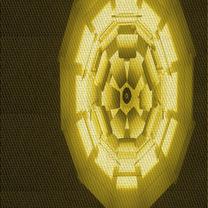 Machine Washable Transitional Black Brown Rug, wshpat241yw