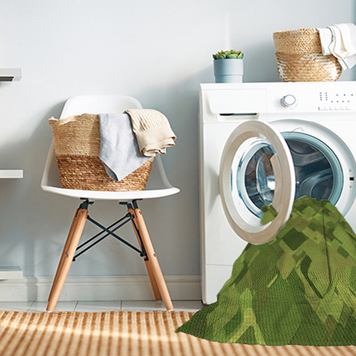 Machine Washable Transitional Pistachio Green Rug in a Washing Machine, wshpat2410brn