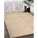 Machine Washable Transitional Brown Sand Brown Rug in a Family Room, wshpat2413org