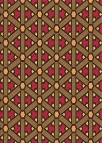 Machine Washable Transitional Sedona Brown Rug, wshpat2422org