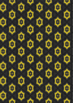 Machine Washable Transitional Brown Rug, wshpat2423