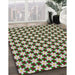 Patterned Light Green Novelty Rug in Family Room, pat2425