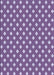 Machine Washable Transitional Purple Mimosa Purple Rug, wshpat2429blu
