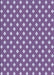 Patterned Purple Mimosa Purple Rug, pat2429blu