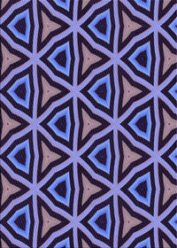 Machine Washable Transitional Dark Purple Rug, wshpat2430pur