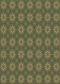 Machine Washable Transitional Army Green Rug, wshpat2433brn