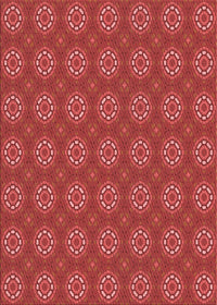 Machine Washable Transitional Orange Rug, wshpat2433rd