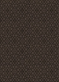 Machine Washable Transitional Dark Brown Rug, wshpat2434brn