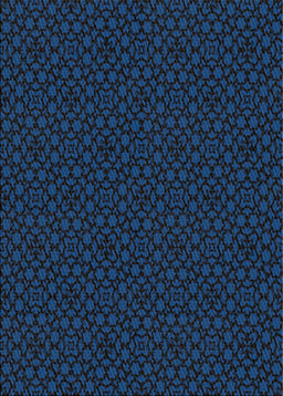 Patterned Blue Novelty Rug, pat2434