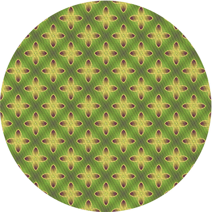 Square Machine Washable Transitional Pistachio Green Rug in a Living Room, wshpat2435brn