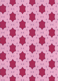 Machine Washable Transitional Pink Rug, wshpat2436pur