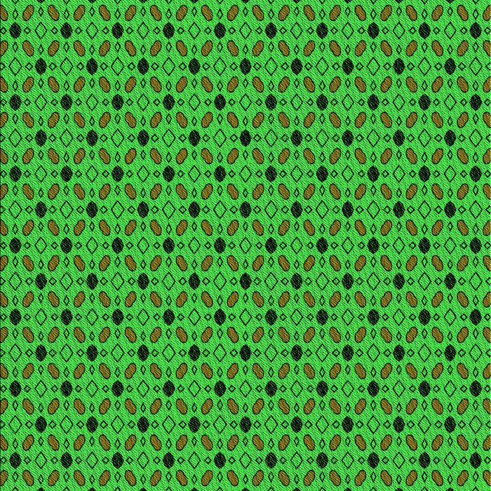 Machine Washable Transitional Lime Green Rug, wshpat2437grn