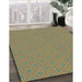 Patterned Light Brown Rug in Family Room, pat2439lblu