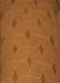 Machine Washable Transitional Neon Orange Rug, wshpat244org