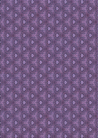 Machine Washable Transitional Purple Rug, wshpat2440blu