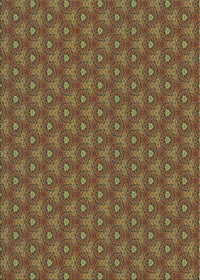 Machine Washable Transitional Copper Brown Rug, wshpat2440lblu