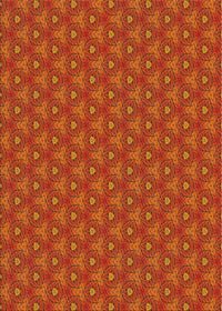 Machine Washable Transitional Neon Orange Rug, wshpat2440