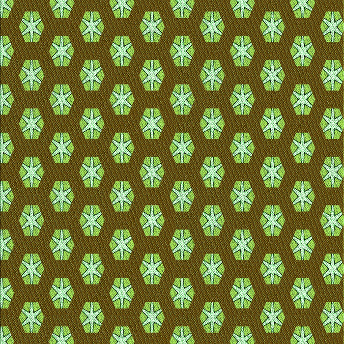 Machine Washable Transitional Dark Bronze Brown Rug, wshpat2443grn