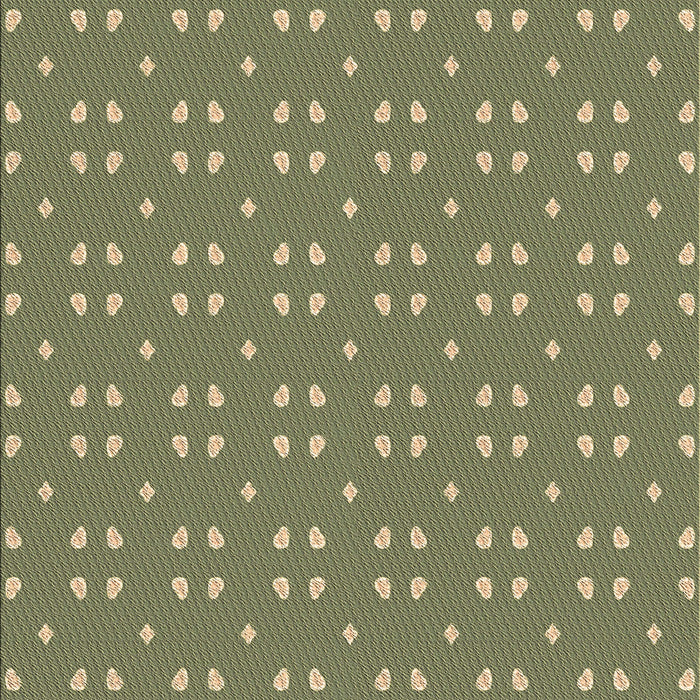 Machine Washable Transitional Fern Green Rug, wshpat2445brn