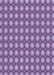 Machine Washable Transitional Bright Lilac Purple Rug, wshpat2448blu