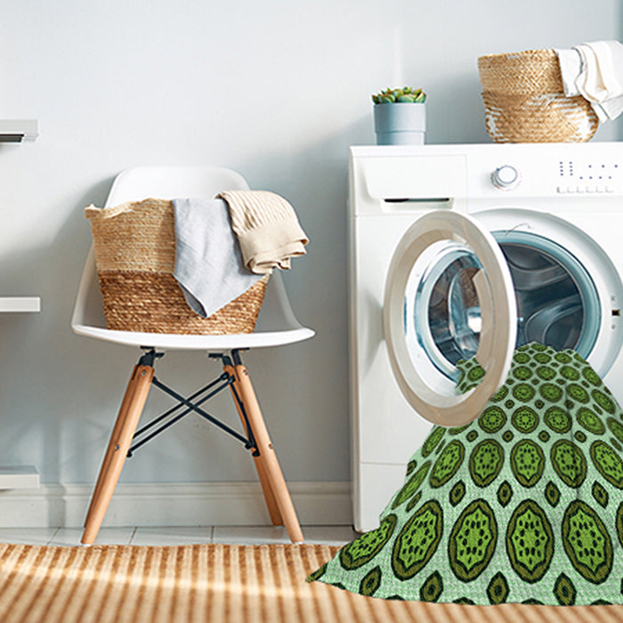 Machine Washable Transitional Pastel Green Rug in a Washing Machine, wshpat2457grn