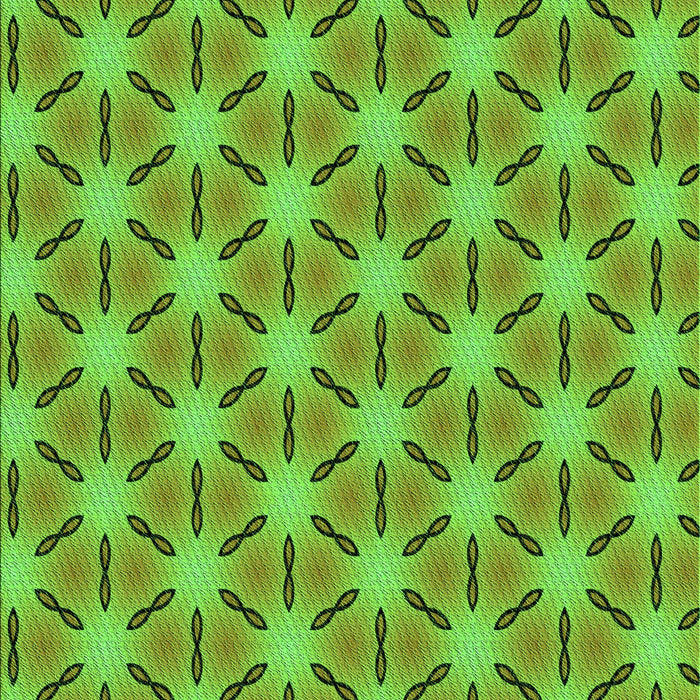 Machine Washable Transitional Bright Green Rug, wshpat2458grn