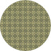 Square Machine Washable Transitional Fern Green Rug in a Living Room, wshpat2466brn