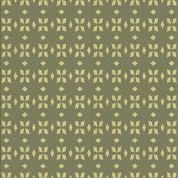 Machine Washable Transitional Fern Green Rug, wshpat2466brn