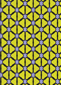 Machine Washable Transitional Western Charcoal Gray Rug, wshpat2469