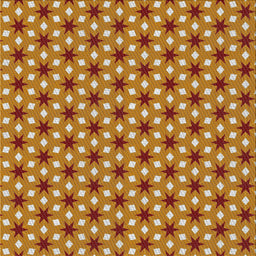 Sideview of Machine Washable Transitional Mahogany Brown Rug, wshpat2470